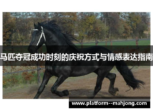 马匹夺冠成功时刻的庆祝方式与情感表达指南 马匹夺冠成功时刻的庆祝方式与情感表达指南