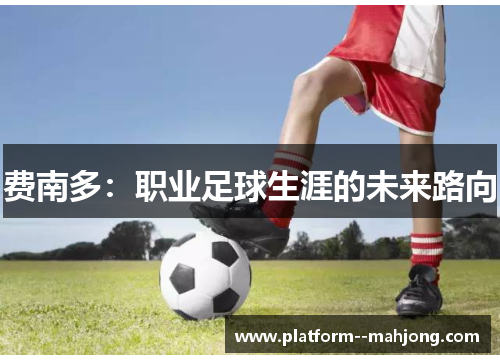 费南多：职业足球生涯的未来路向